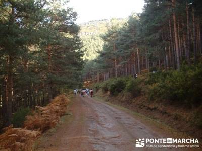 Senderismo Sierra del rincón; rutas de senderismo en madrid; senderismo